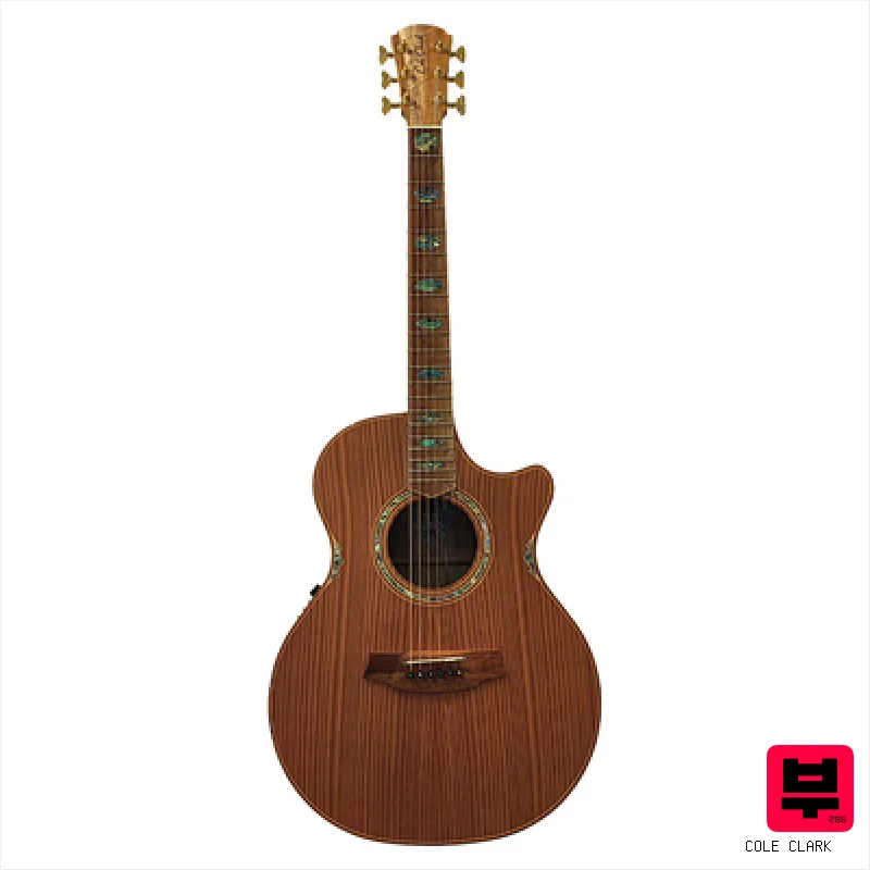 Cole Clark AN3EC-RDCL-AE - Professional Music Instrument Photo