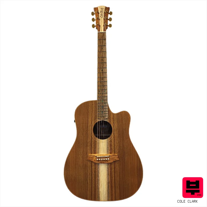 Cole Clark FL2EC-BLBL - Dreadnought Acoustic Guitars