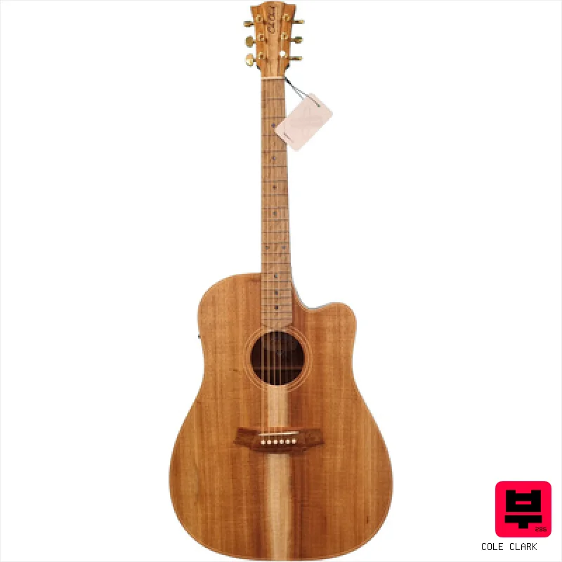 Cole Clark FL2EC-BLBL (AE)
