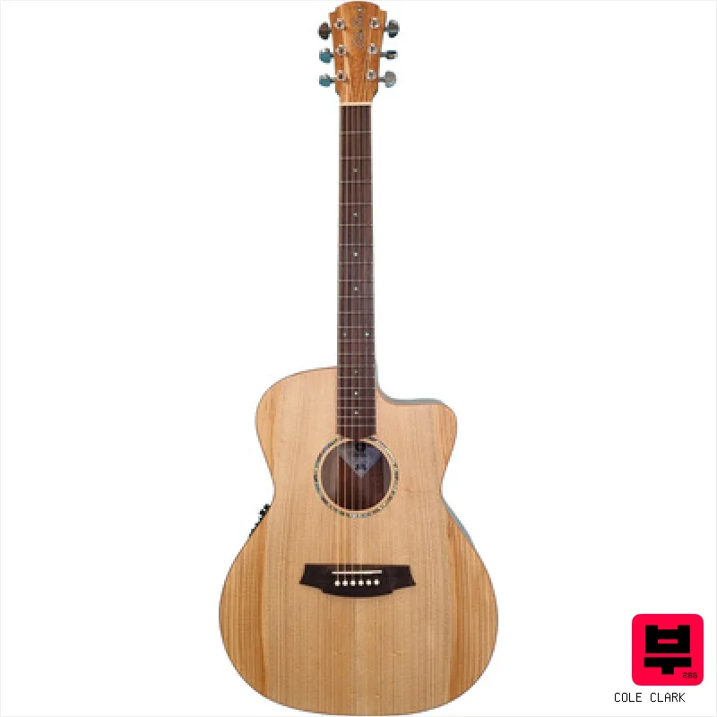 Cole Clark SAN1EC-BM