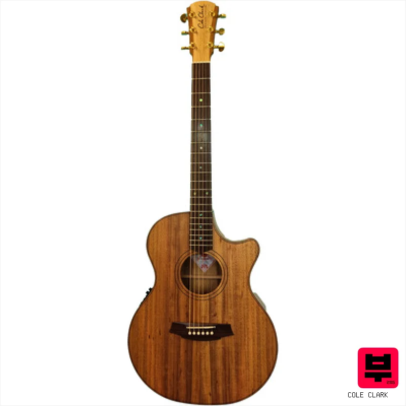 Cole Clark TL2EC-BLBLR