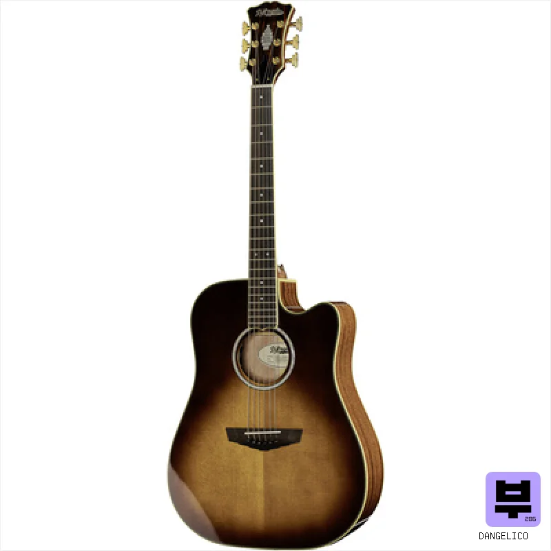 Dreadnought Acoustic Guitars