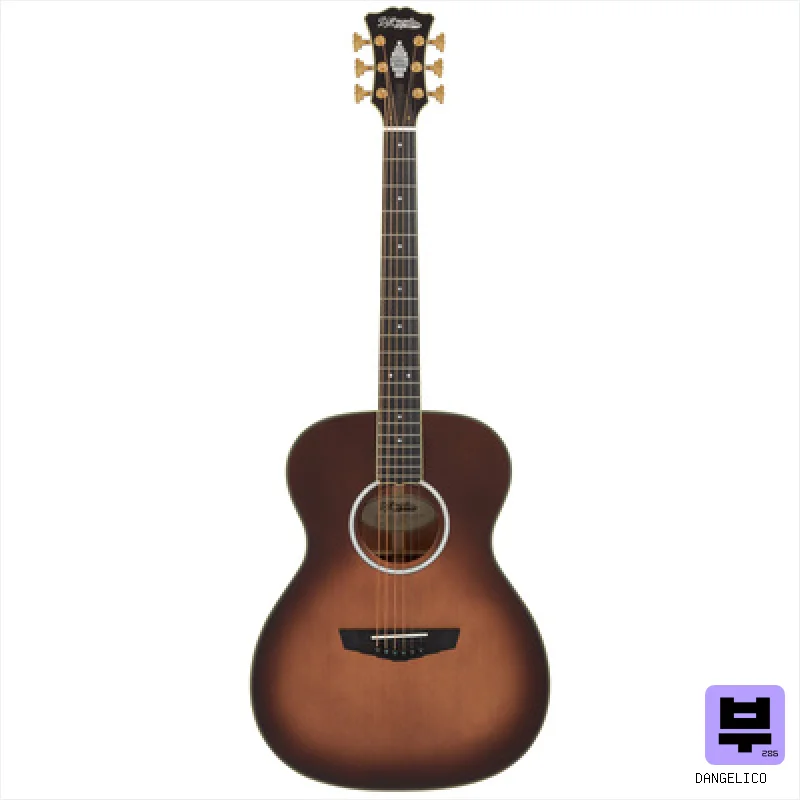 DAngelico Excel Tammany Autumn Burst