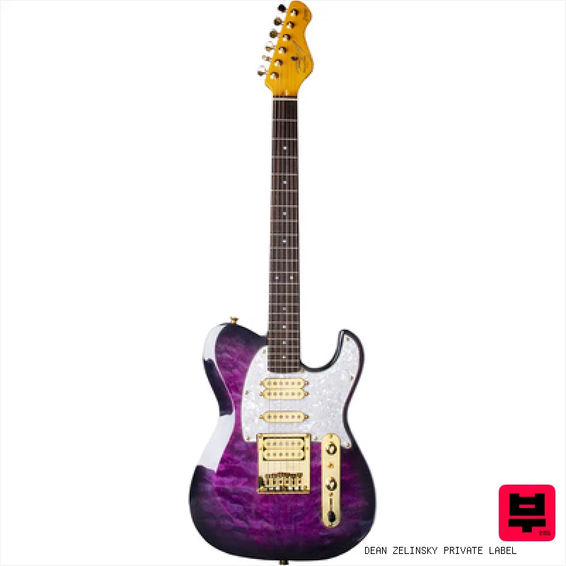 Dean Zelinsky Private Label Dellatera ATW Purple Burst - Professional Music Instrument Photo