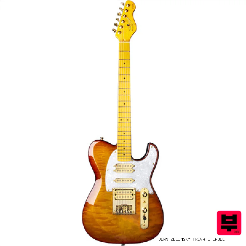 Dean Zelinsky Private Label Dellatera ATW Vintage Sunburst - Professional Music Instrument Photo