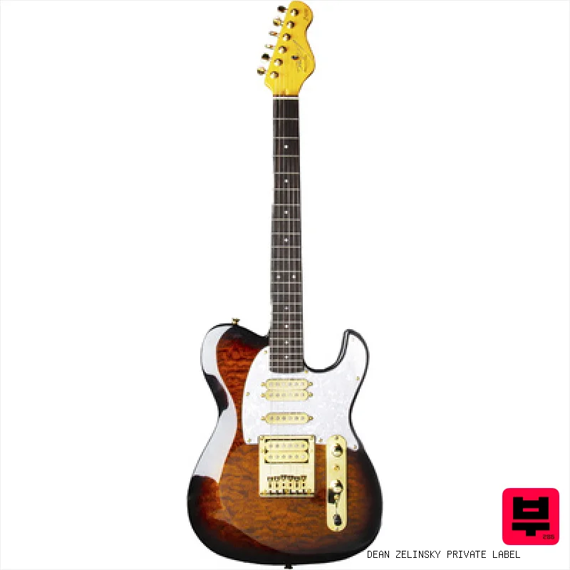 Dean Zelinsky Private Label Dellatera ATW Walnut Burst - Professional Music Instrument Photo