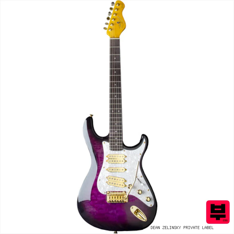 Dean Zelinsky Private Label Tagliare ATW Purple Burst - Professional Music Instrument Photo
