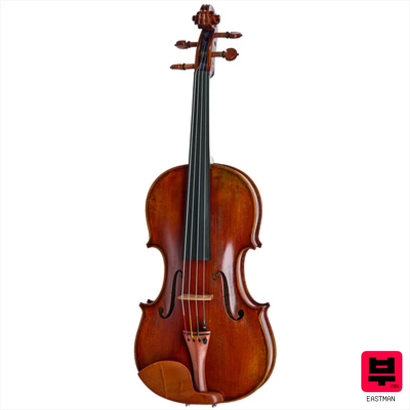 Eastman A. Eastman Viola VA405+ 15" - Professional Music Instrument Photo