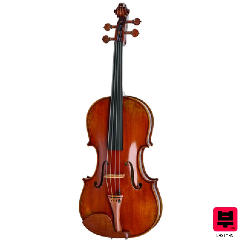 Eastman A. Eastman Viola VA405+ 16" - Professional Music Instrument Photo