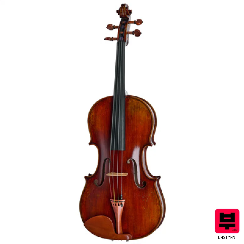 Eastman A. Eastman Viola VA405+ 16,5" - Professional Music Instrument Photo