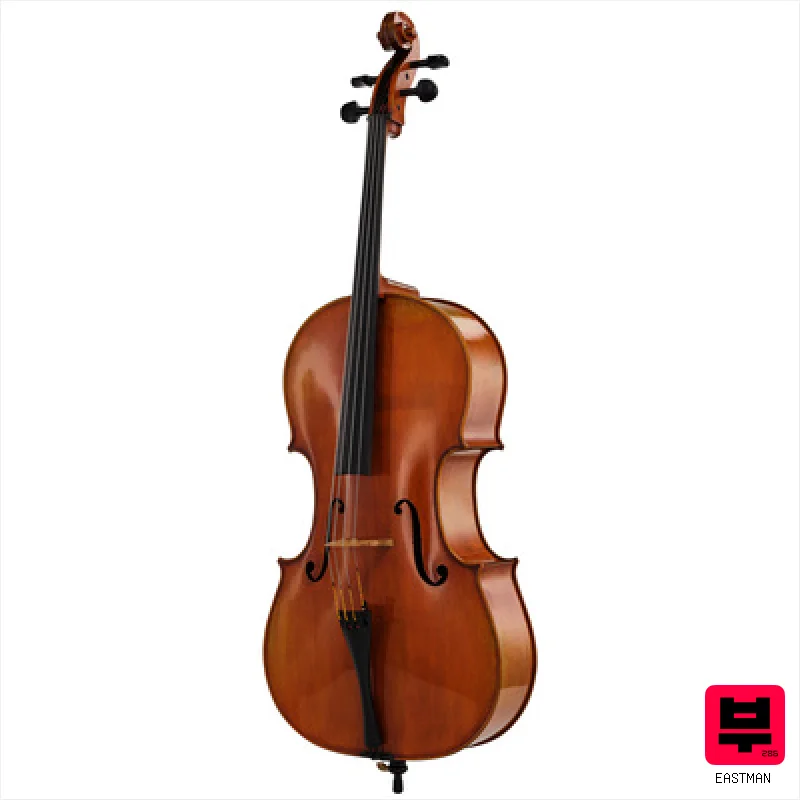 Eastman Albert Nebel Cello VC601G+ 4/4 - Professional Music Instrument Photo