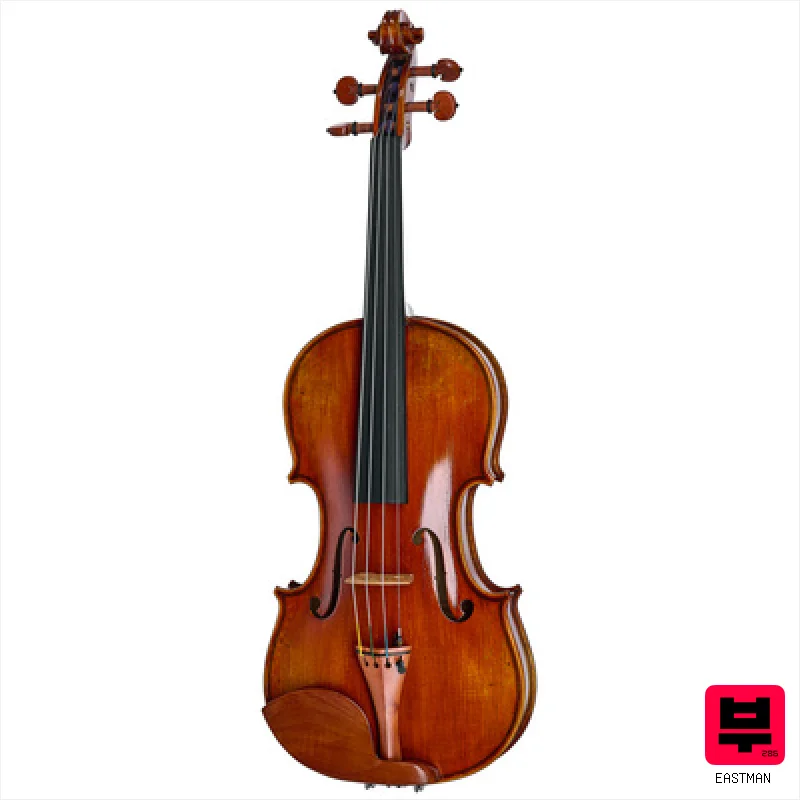 Eastman Andreas Eastman Violin VL405+ - Acoustic Violins
