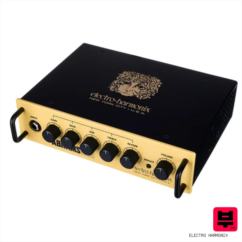 Electro Harmonix Abrams100 Amp Head - Professional Music Instrument Photo