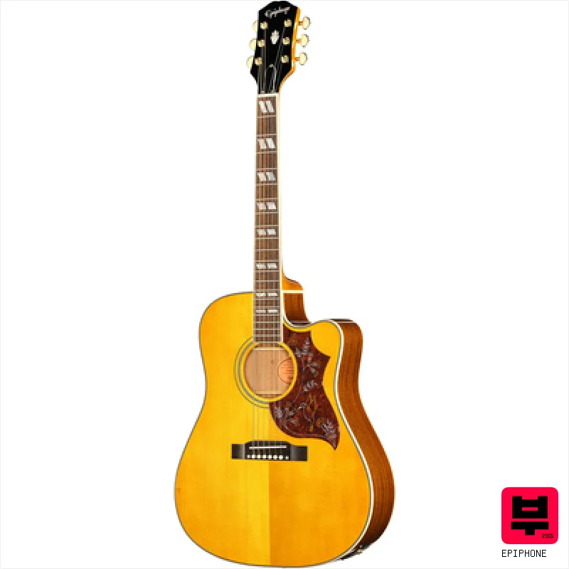 Epiphone Hummingbird Standard EC N - Dreadnought Acoustic Guitars