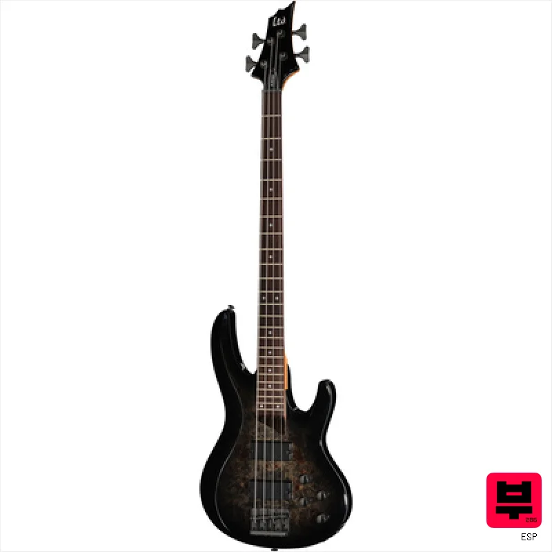 ESP LTD B-204DX BB - Professional Music Instrument Photo