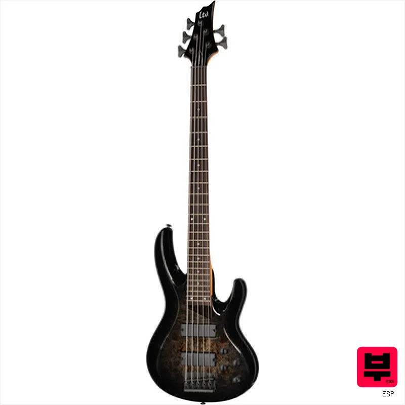 ESP LTD B-205DX BB - 5-String Heavy Basses