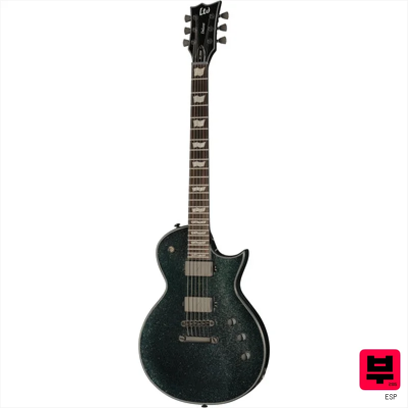 ESP LTD EC-1000 GS - Professional Music Instrument Photo