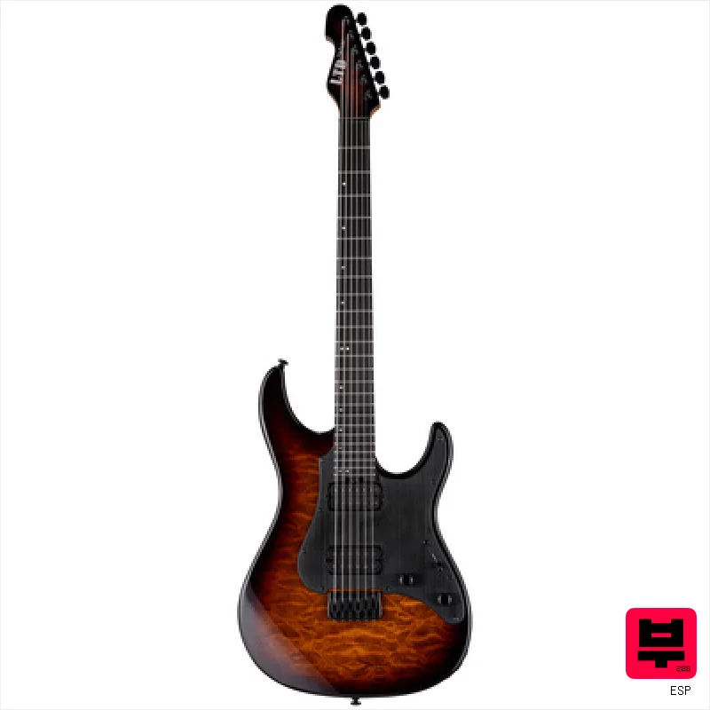 ESP LTD SN-1000HT QM DBSB - Professional Music Instrument Photo