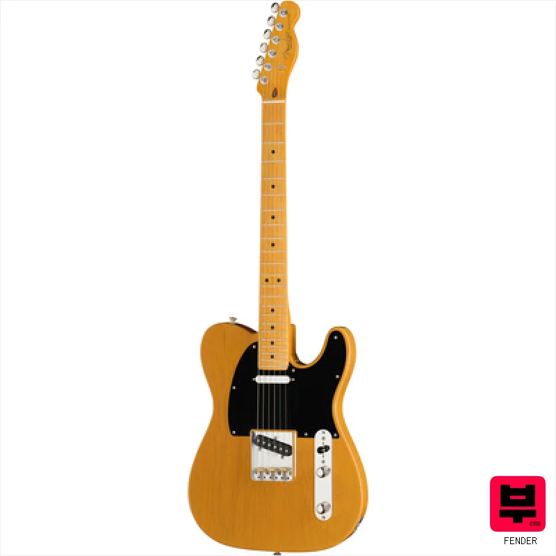 Fender Am Pro Clsc Tele MN BTB - Professional Music Instrument Photo