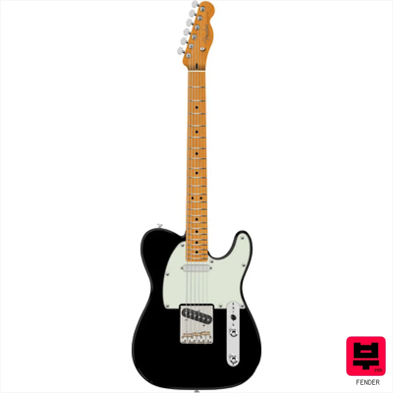 Fender Am Pro Tele MN BK