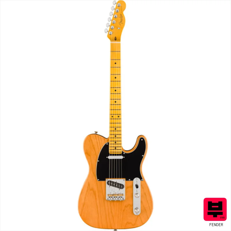 Fender Am Pro Tele MN NAT