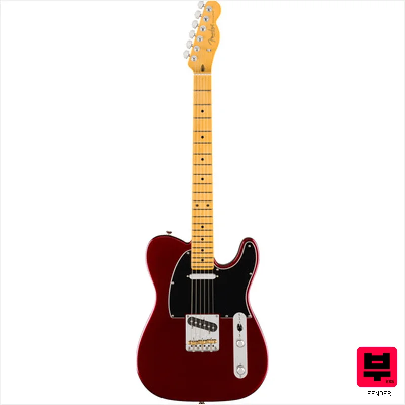 Fender Am Pro Tele MN OXBLD