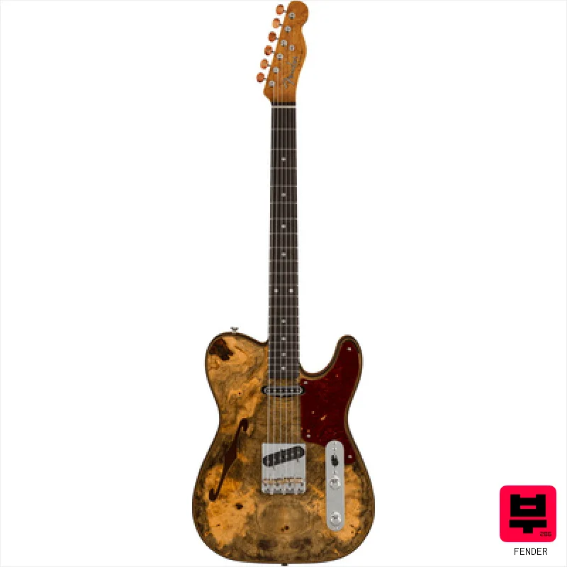 Fender Artisan Buck Double Esqire RW - Professional Music Instrument Photo