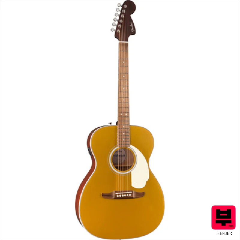 Fender CA DLX Monterey E AZG - Professional Music Instrument Photo