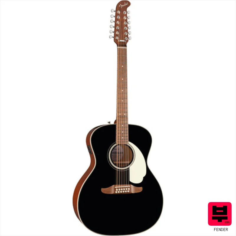 Fender CA DLX Villager E BLK - Professional Music Instrument Photo