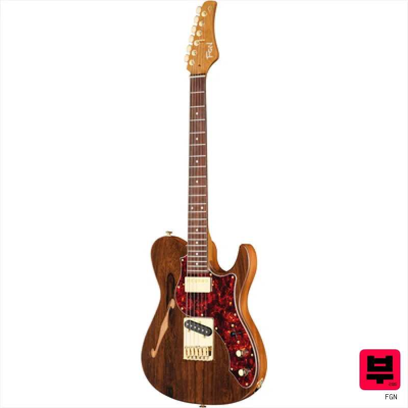 FGN Expert Iliad EW Thinline NTF - T Style Guitars