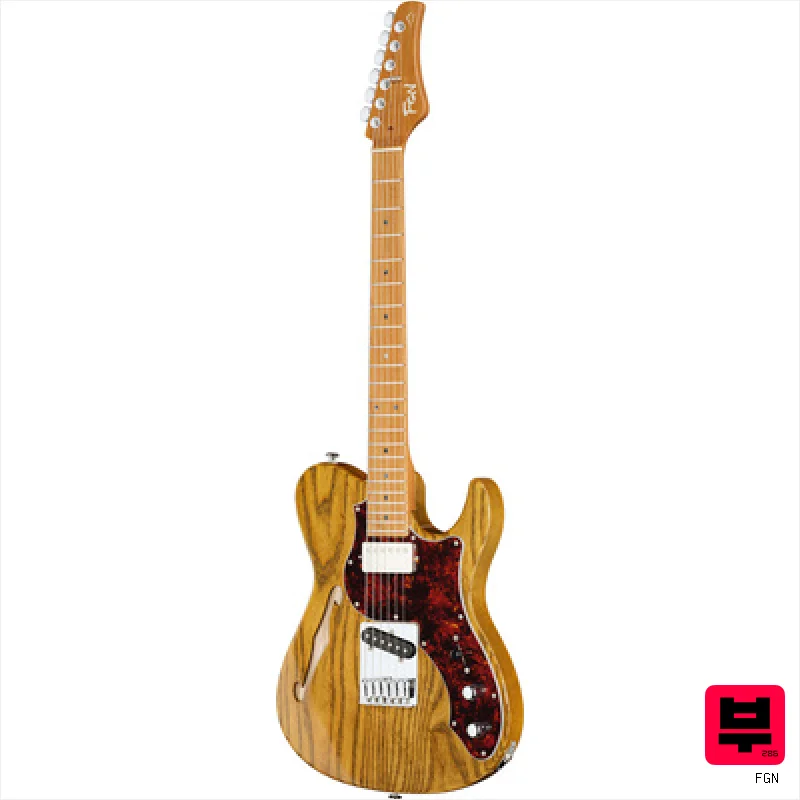 FGN Expert Iliad Thinline VNT - T Style Guitars