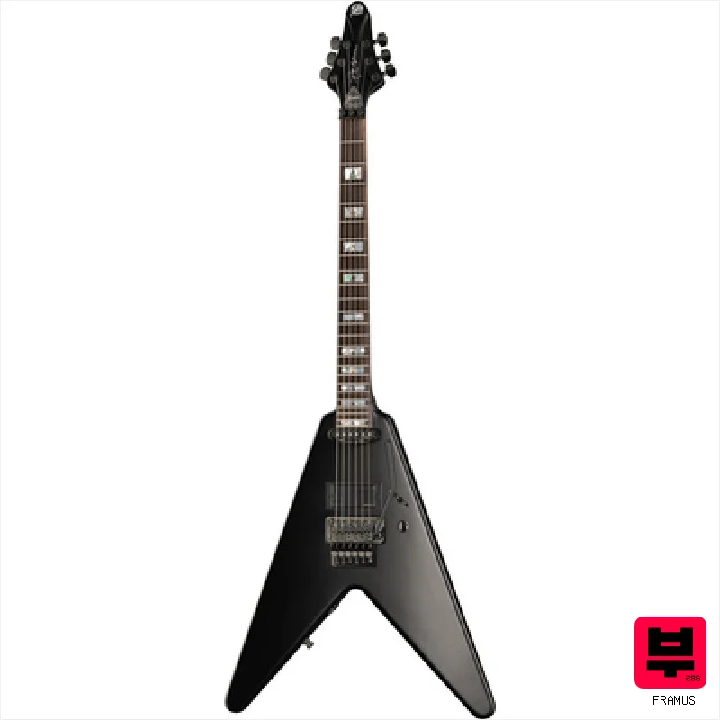 Framus Teambuilt Artist WH 1 SBS - Heavy Guitars