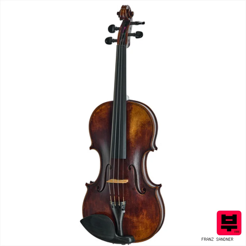 Franz Sandner Meisterwerk Guarneri Vn 4/4 - Professional Music Instrument Photo