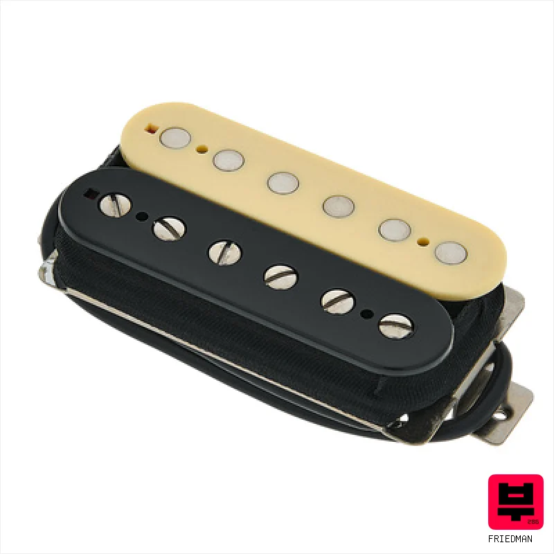 Friedman Triple D Humbucker Br Zebra - Professional Music Instrument Photo