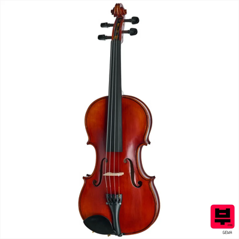 Gewa Sonata Violin Set SC / CB 4/4 - Professional Music Instrument Photo