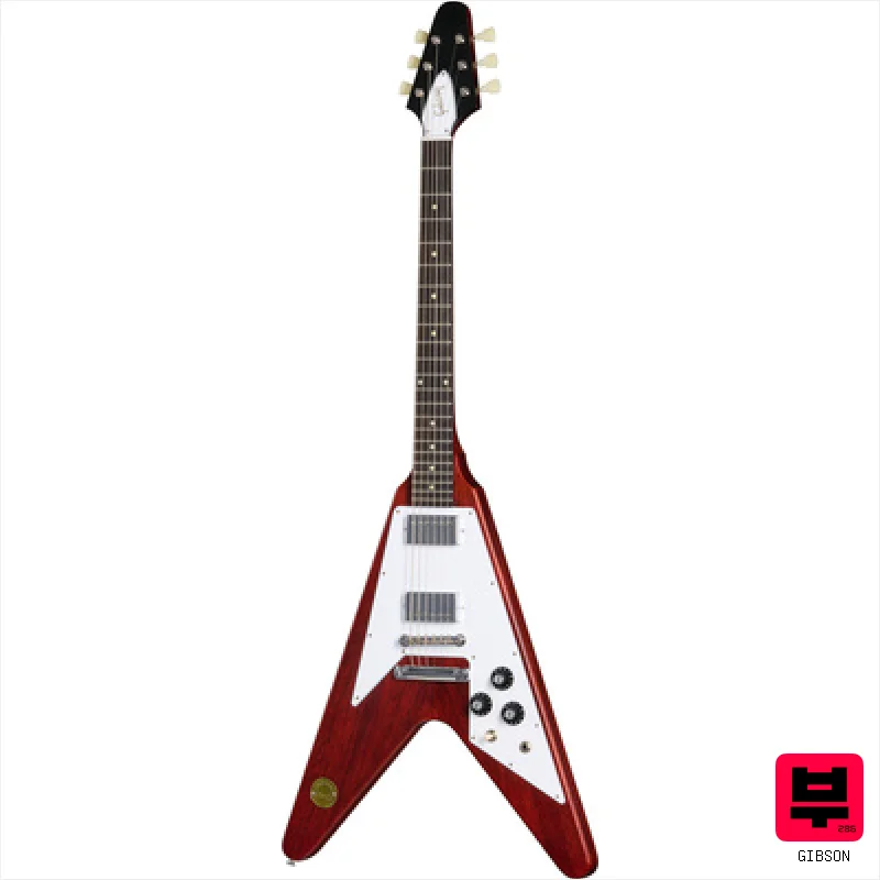 Gibson Custom 1971 Medallion V Re MC - Professional Music Instrument Photo