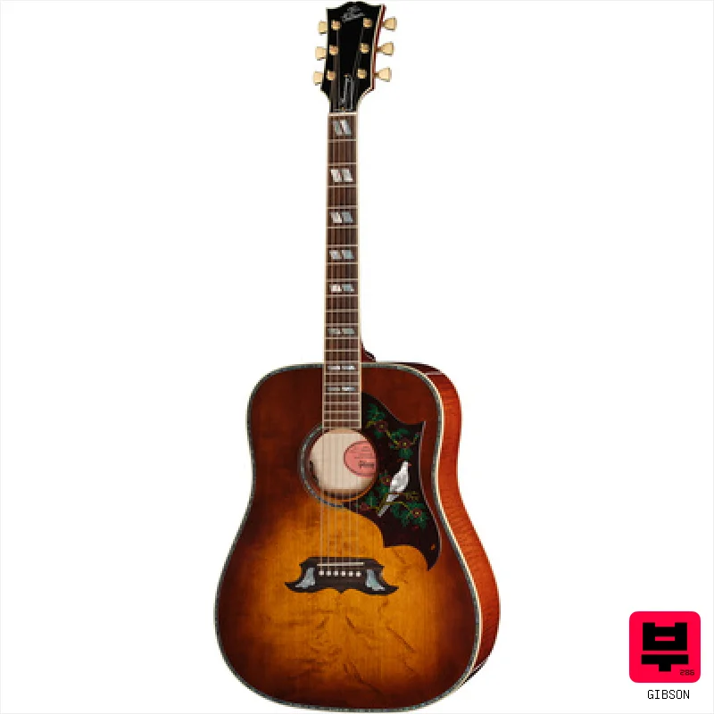 Gibson Dove Anniversary Ltd CB - Professional Music Instrument Photo