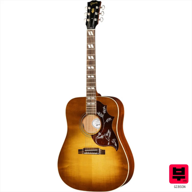 Gibson Hummingbird Special SHB - Professional Music Instrument Photo