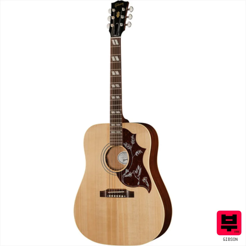 Gibson Hummingbird Special SN - Professional Music Instrument Photo