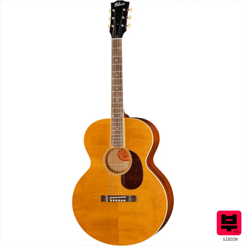Gibson J-185 Century 12-Fret VA - Professional Music Instrument Photo