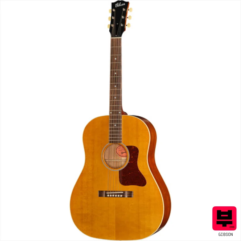 Gibson J-45 Century 12-Fret VA - Professional Music Instrument Photo