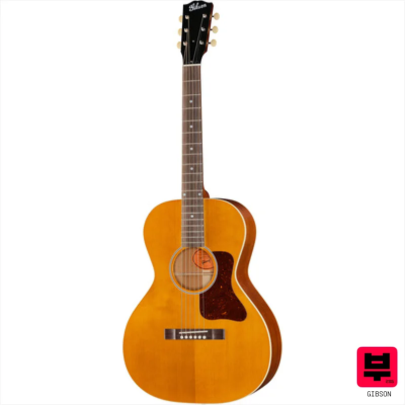 Gibson L-00 Century 12-Fret VA - Professional Music Instrument Photo