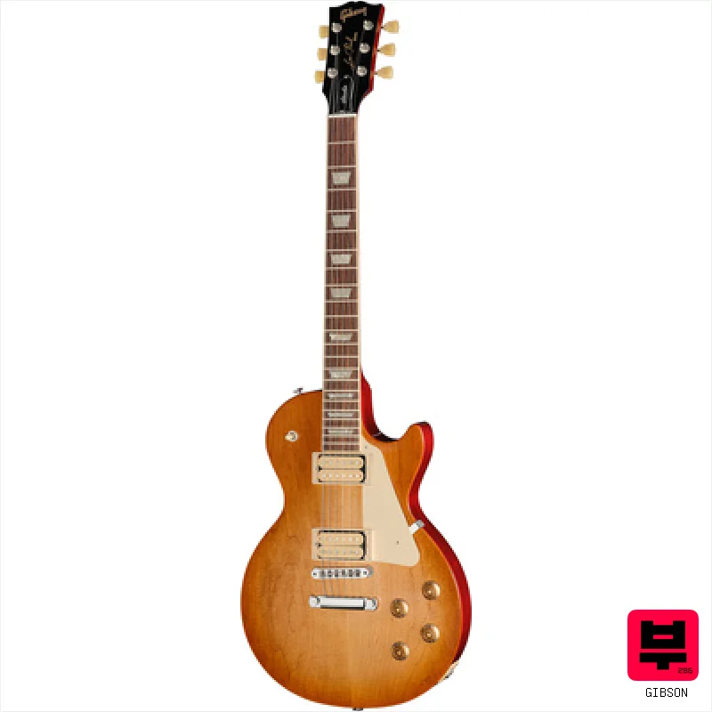 Gibson Les Paul Studio DT DLM - Professional Music Instrument Photo