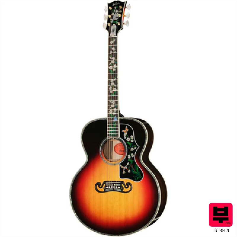 Gibson SJ-200 100 Years of Flat-Tops - Professional Music Instrument Photo