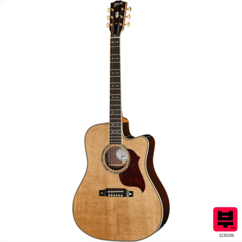 Gibson Songwriter Rec Artist EC AN - Professional Music Instrument Photo