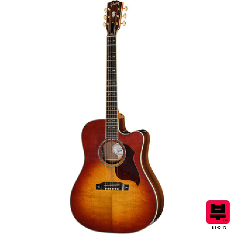 Gibson Songwriter Rec Artist EC RB - Professional Music Instrument Photo