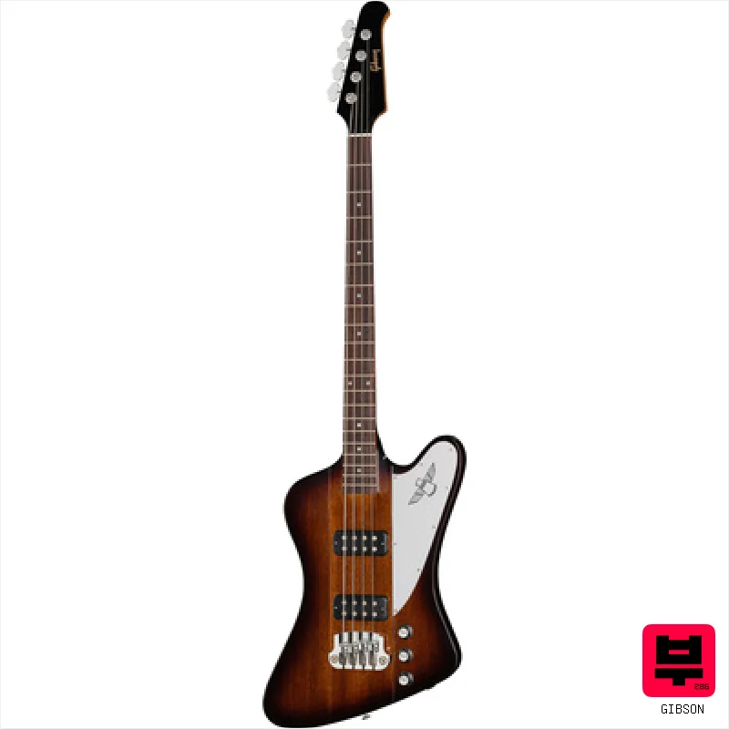 Gibson Thunderbird Bass TBP - Professional Music Instrument Photo