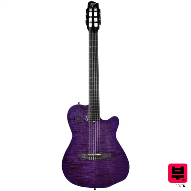 Godin ACS Nylon Steve Stevens LTD - Professional Music Instrument Photo