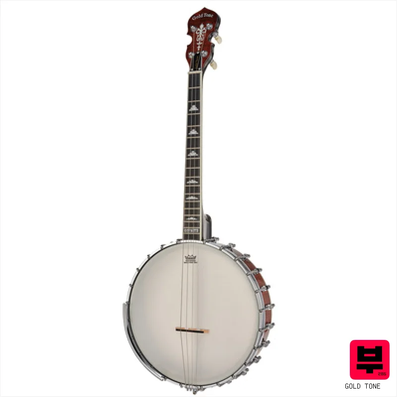 Gold Tone Irish Tenor Banjo 11" IT-250 - Banjos