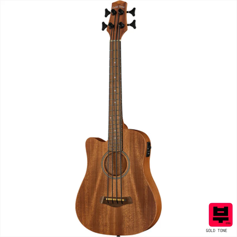 Gold Tone Micro Bass 23 w/Bag LH - Fretless Acoustic Basses